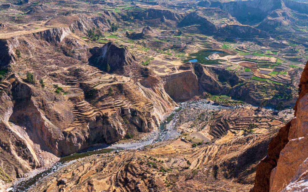 Cañón del Colca Full Day