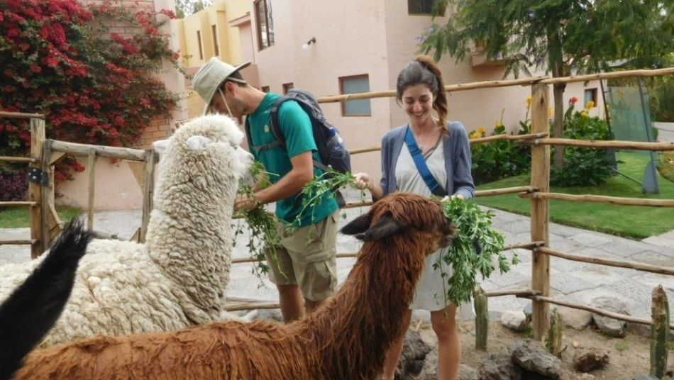 City Tour y Campiña en Arequipa
